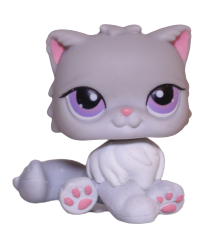 #0251 Persian Cat