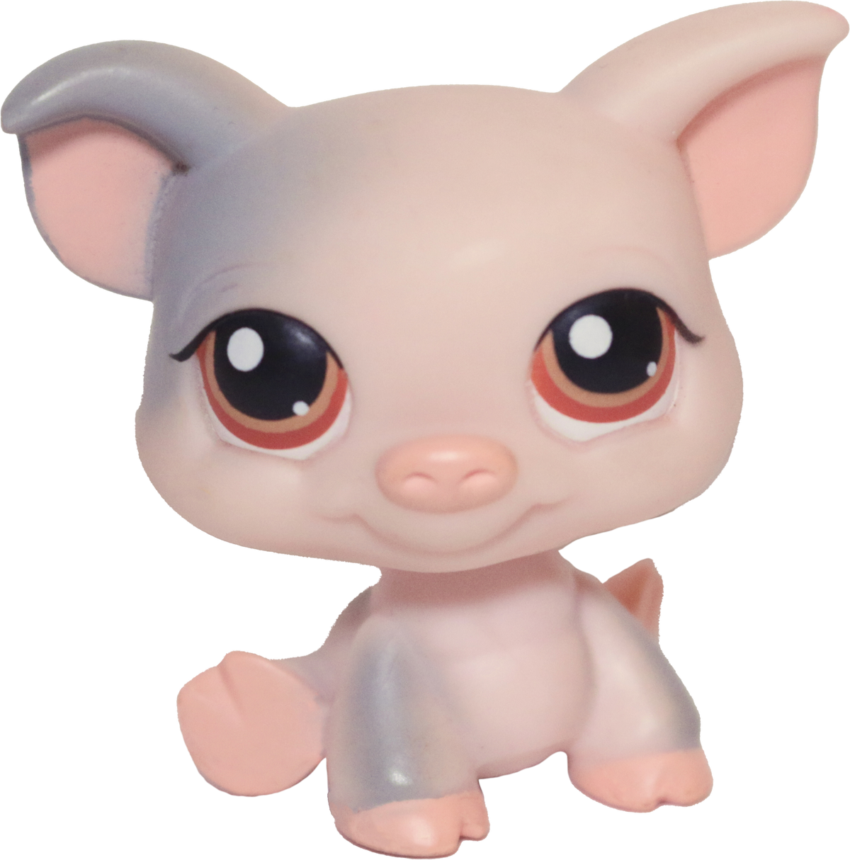 #0259 Pig