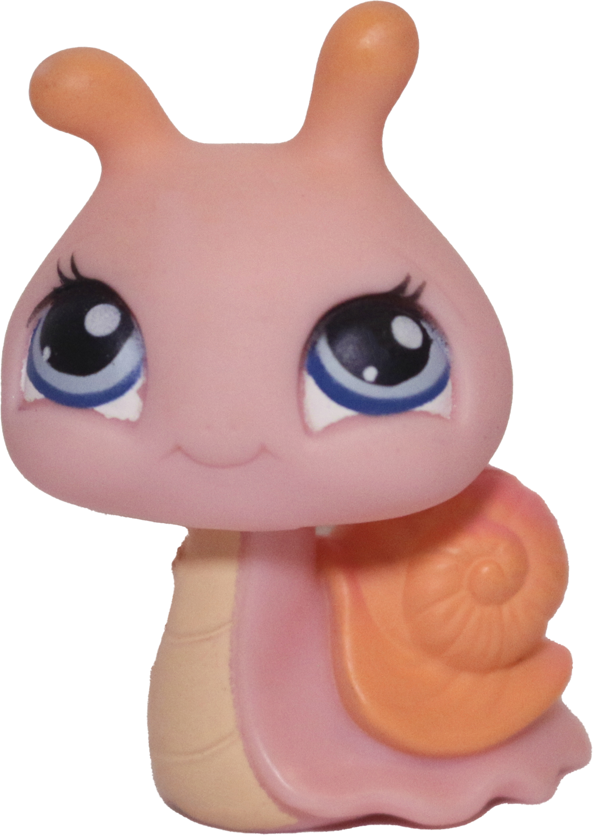 #0262 Snail