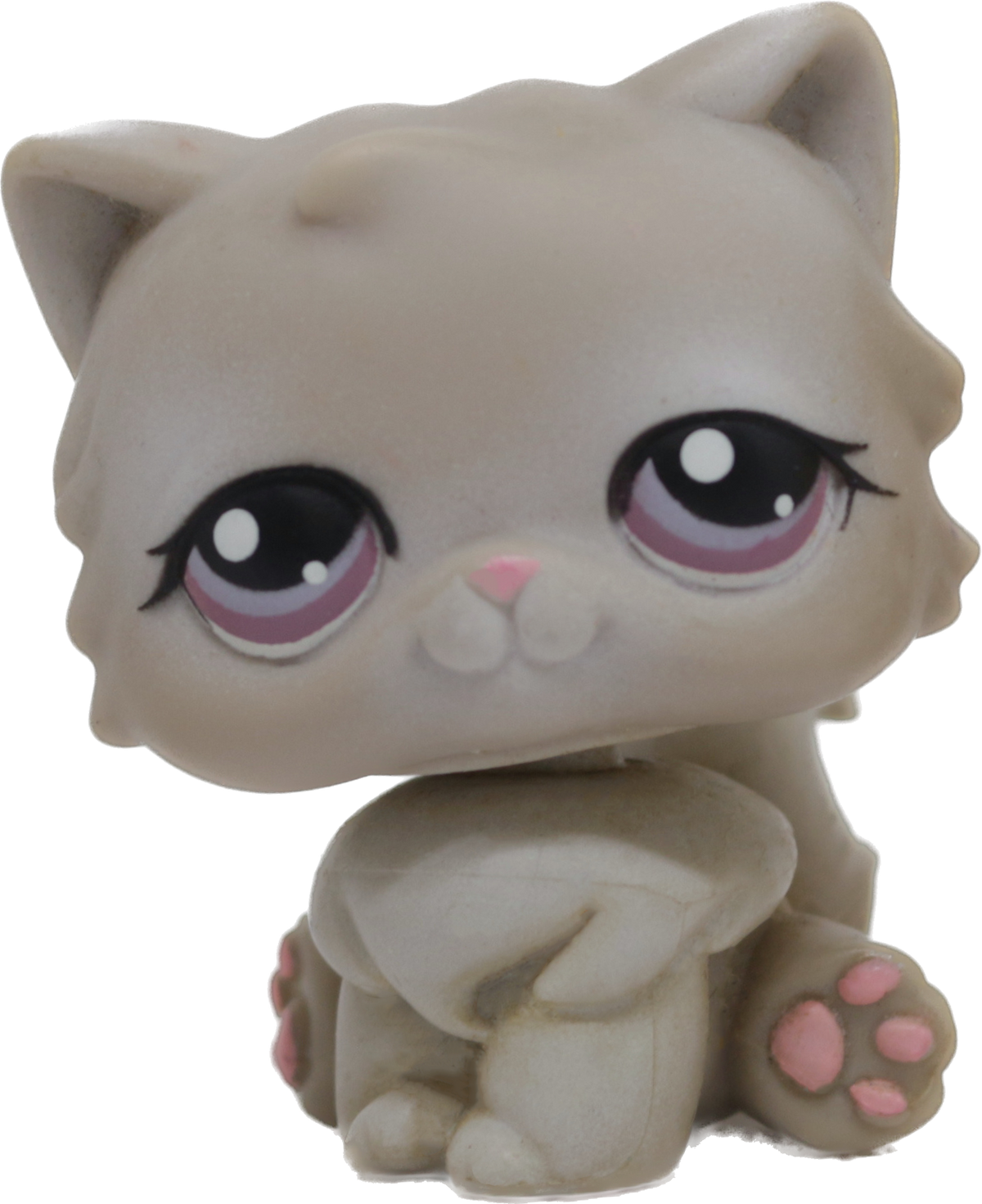 #0263 Persian Cat