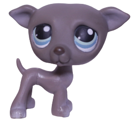 #0319 Greyhound
