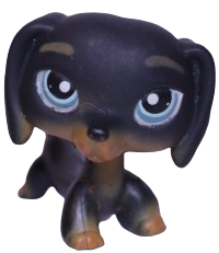 #0325 Dachshund