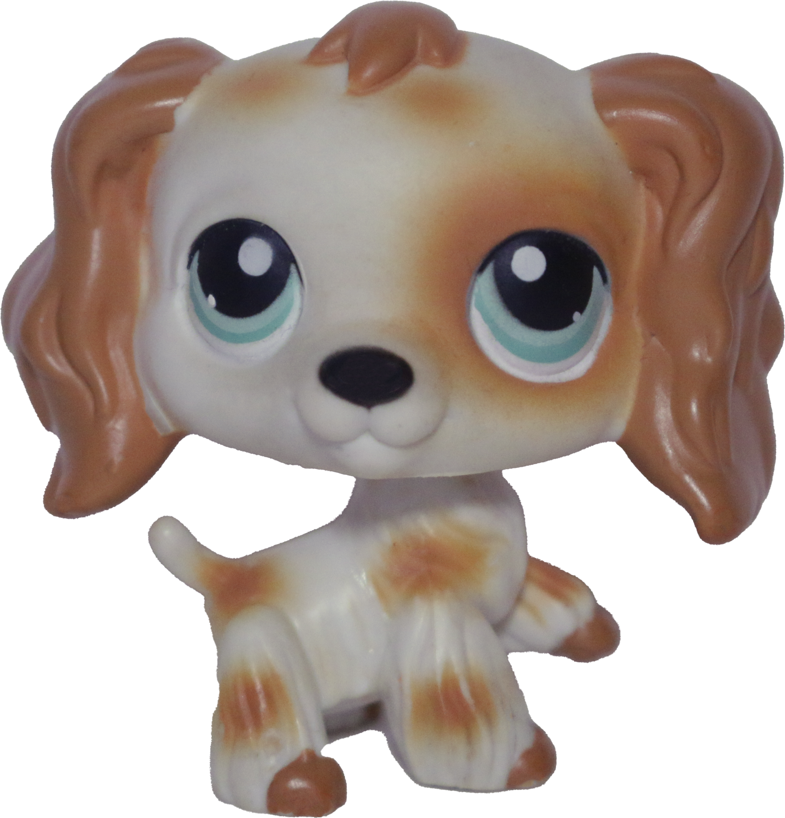 #0344 Cocker Spaniel