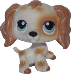 #0344 Cocker Spaniel
