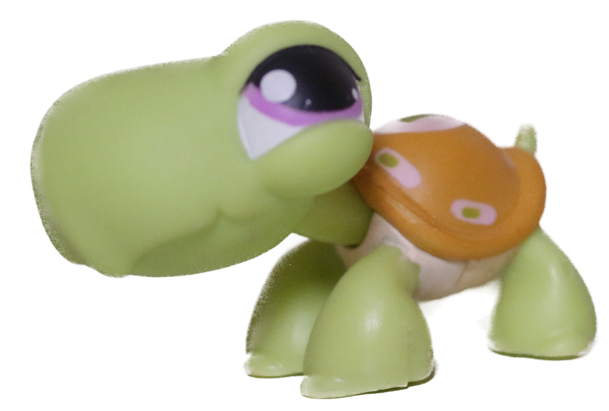 #0350 Turtle