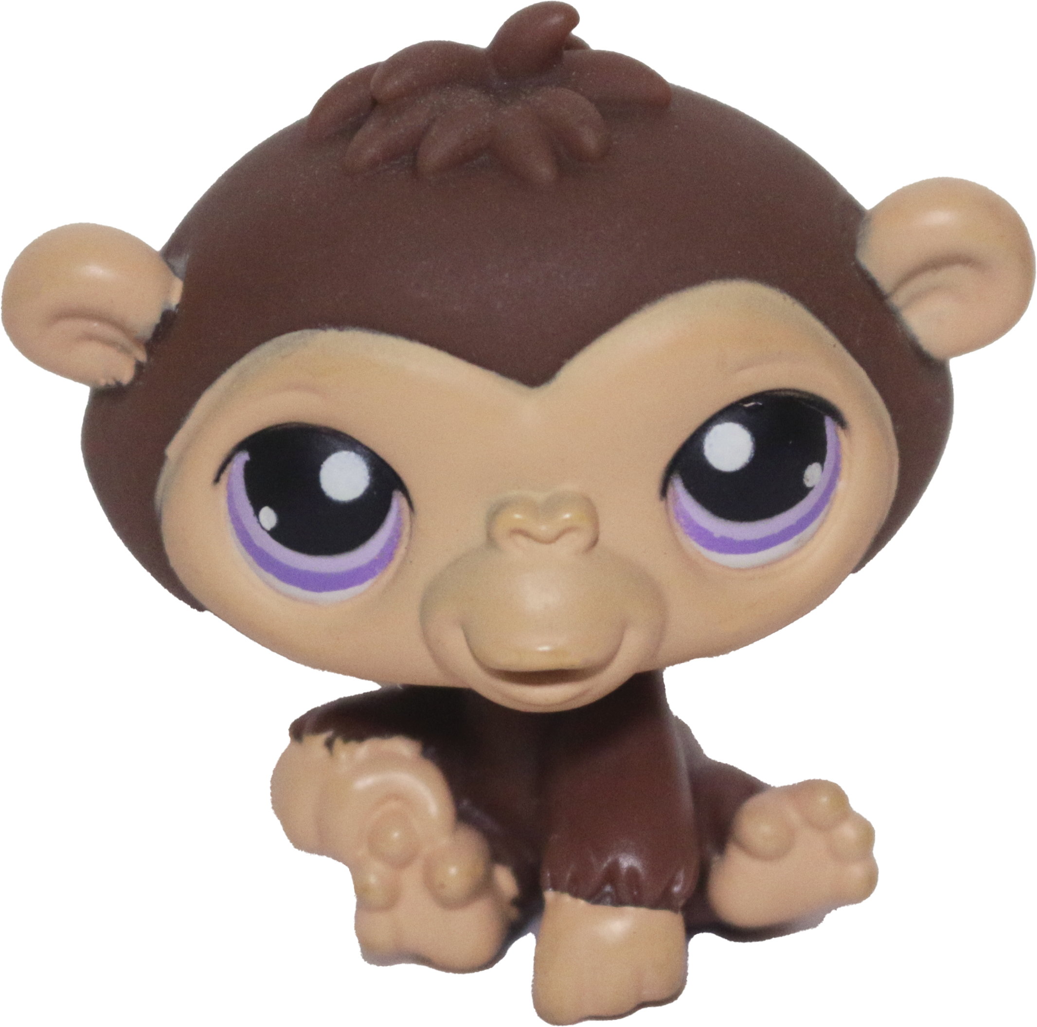#0359 Chimpanzee