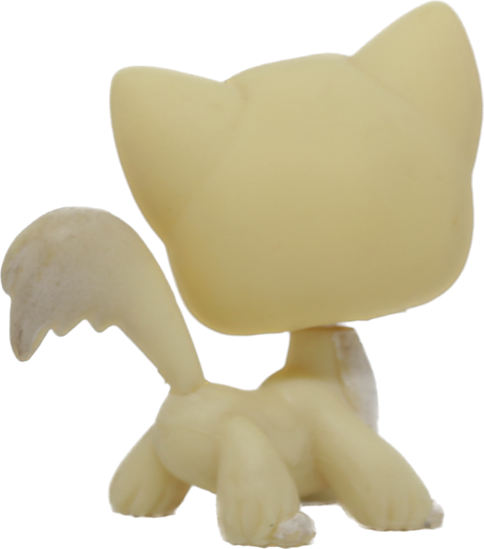 #0364 Angora Longhair Cat