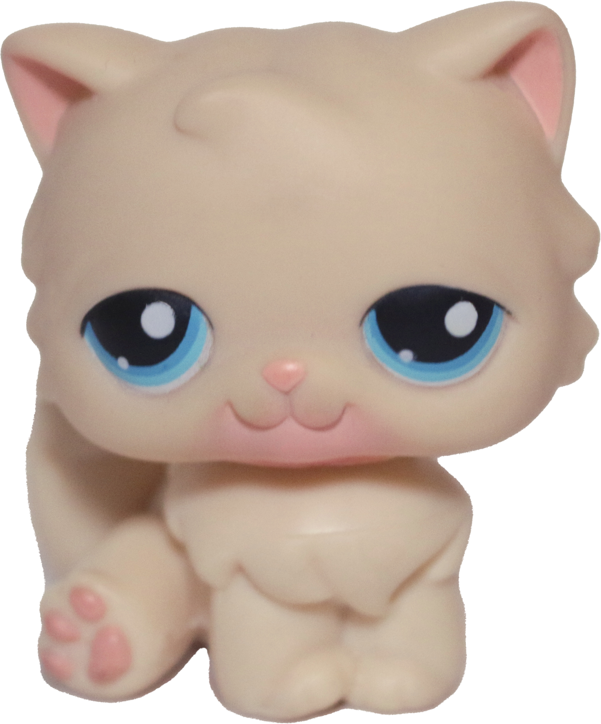 #0380 Persian Cat