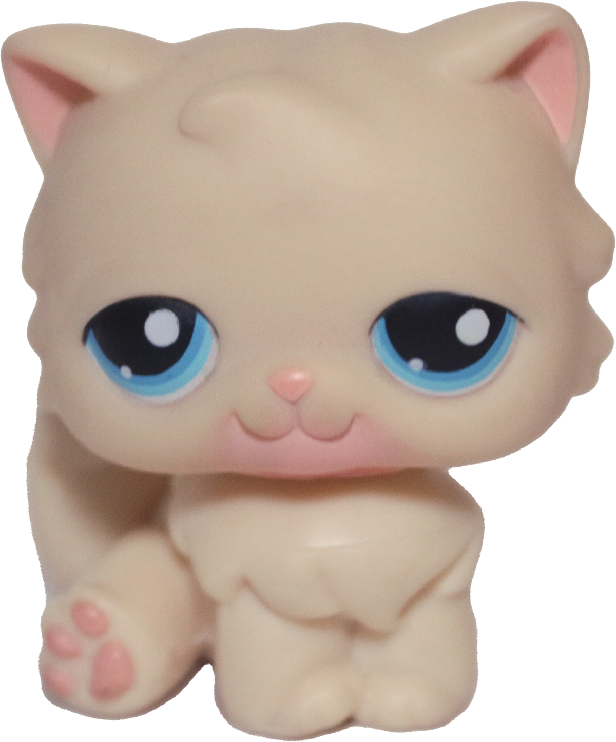 #0380 Persian Cat