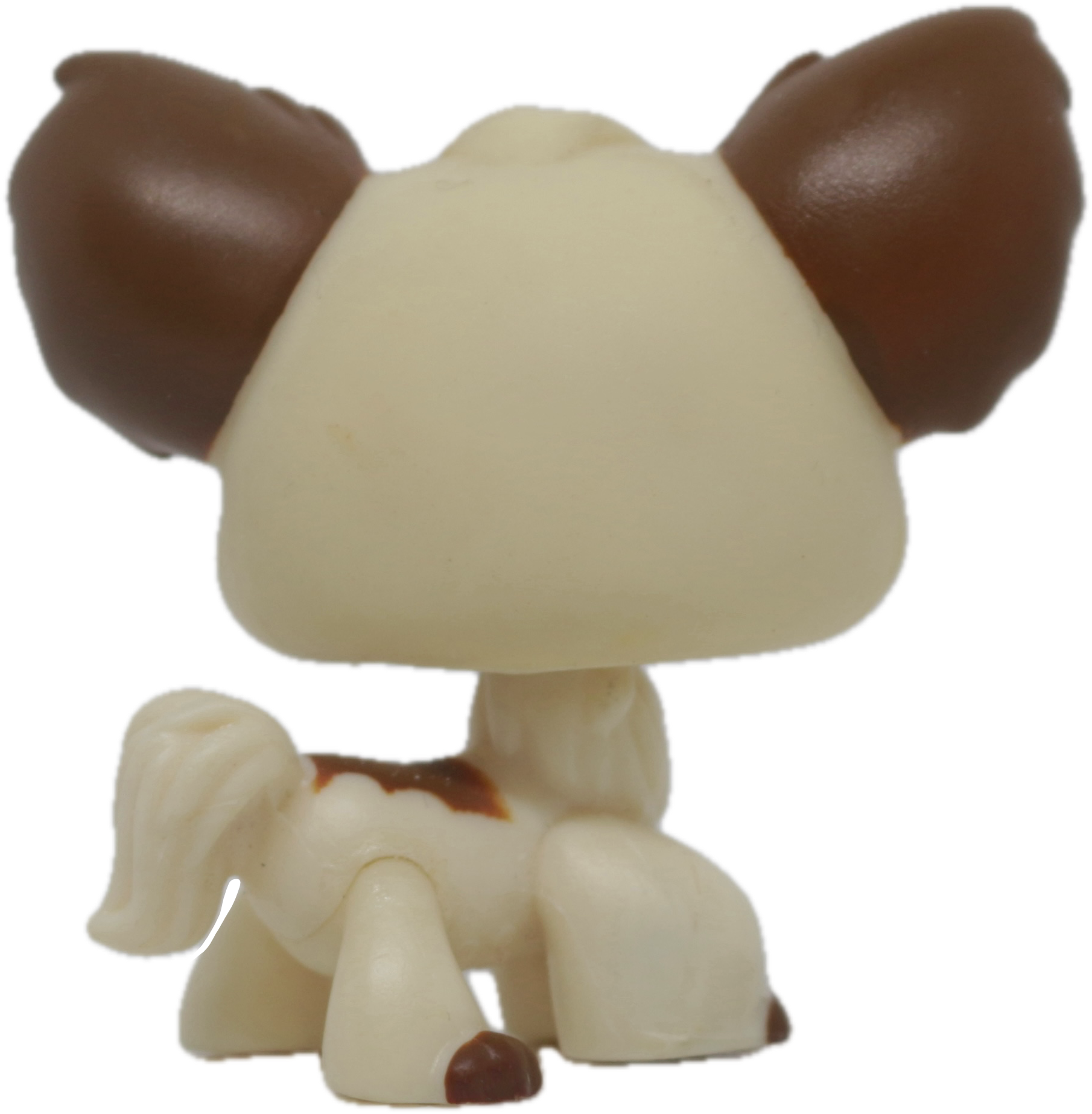 #0385 Chihuahua