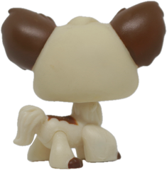 #0385 Chihuahua