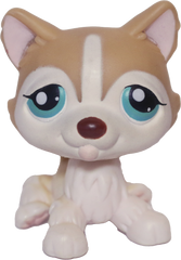 #0386 Husky