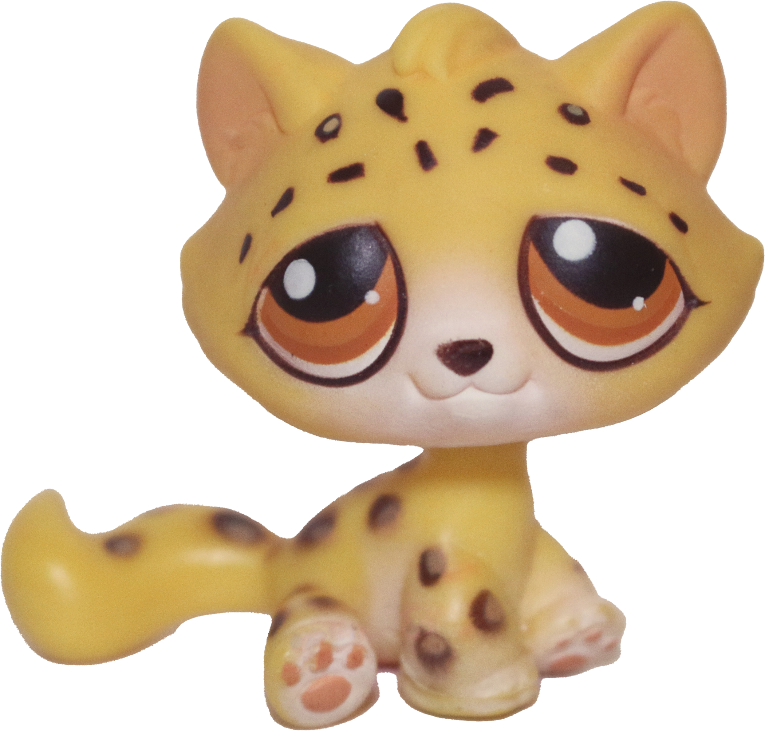 #0388 Sitting Bonbon Cat