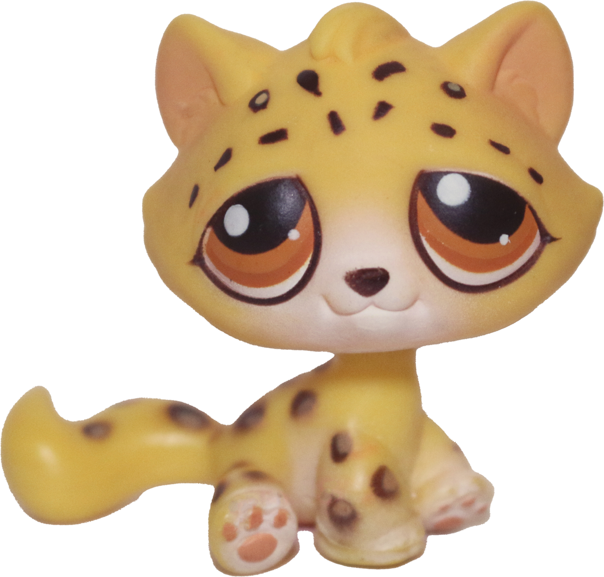#0388 Sitting Bonbon Cat