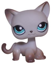 #0391 Shorthair Cat