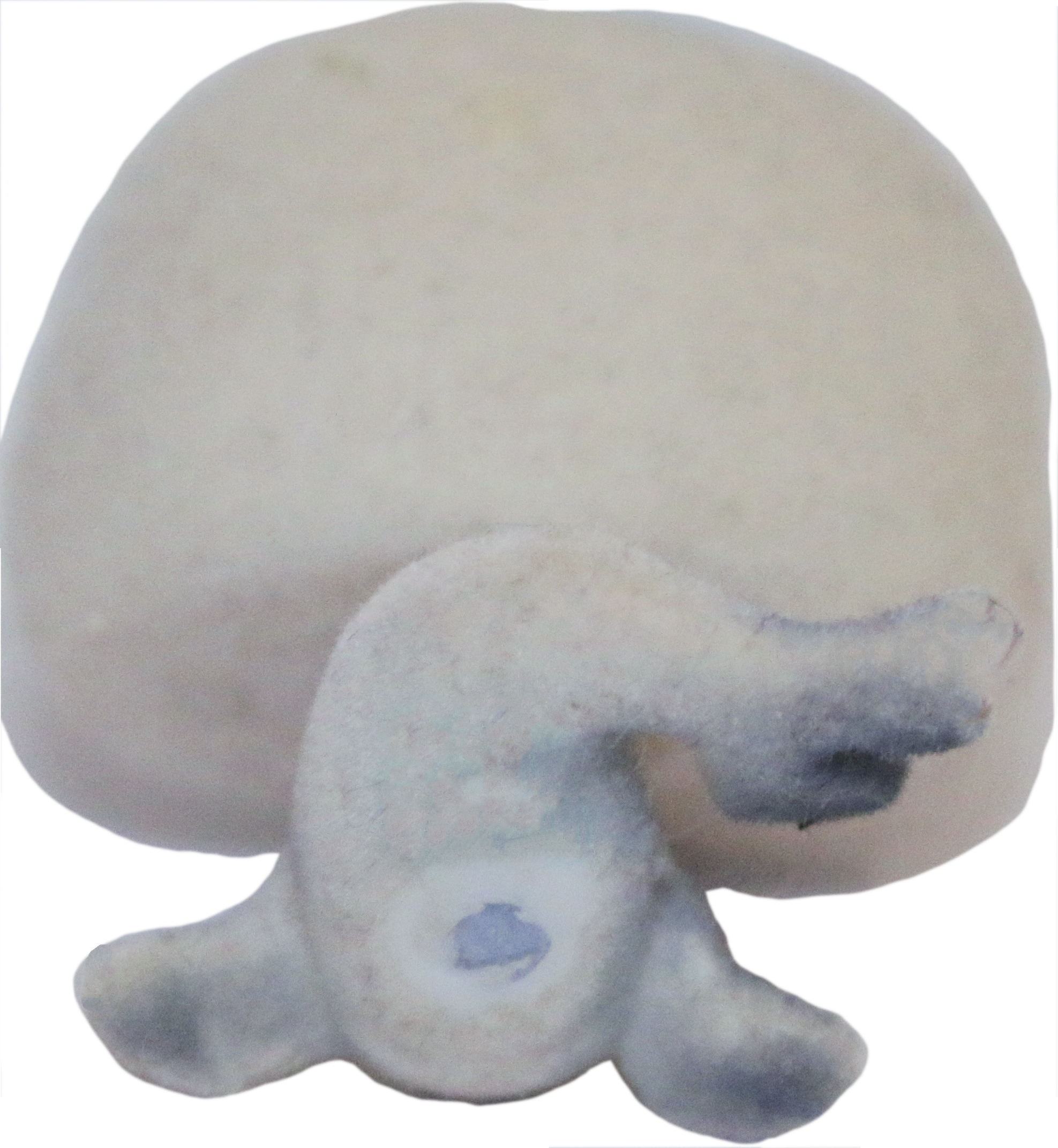 #0399 Seal