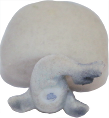 #0399 Seal
