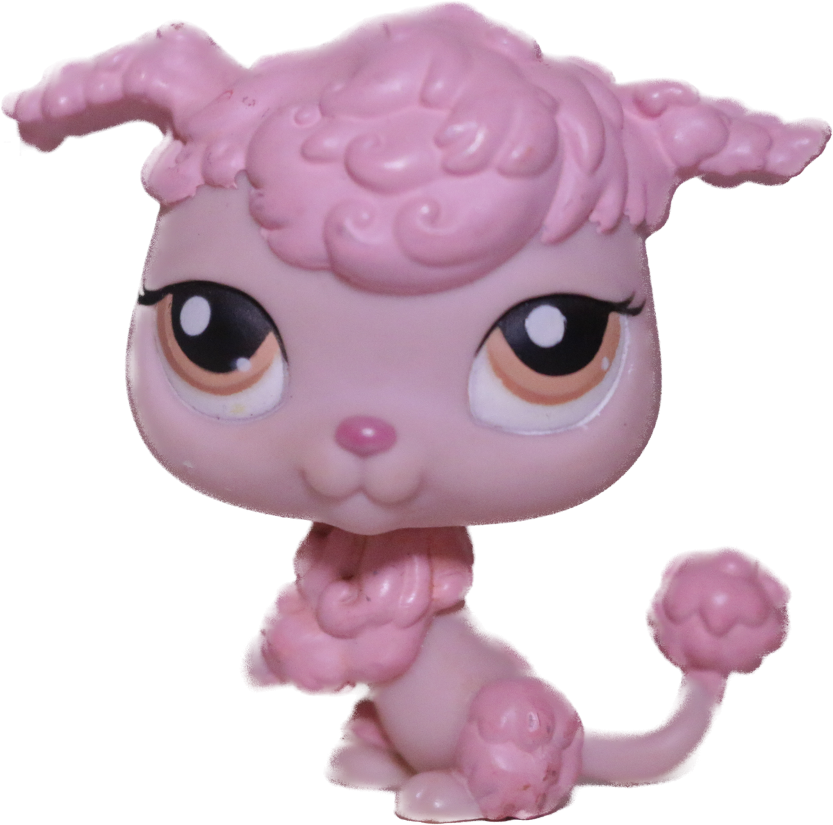 #0402 Poodle