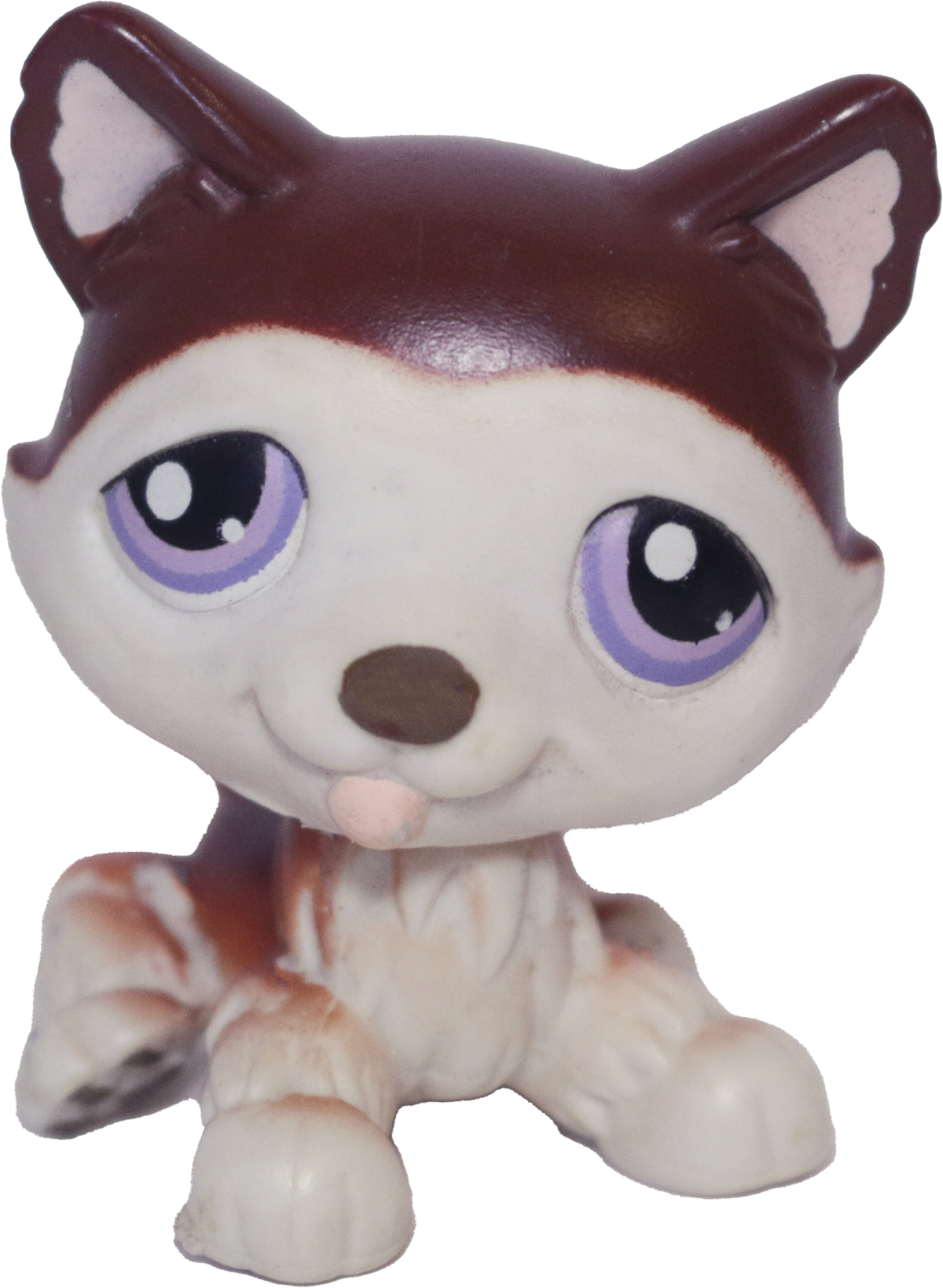#0427 Husky