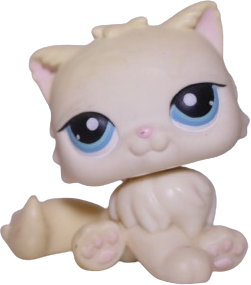 #0428 Persian Cat