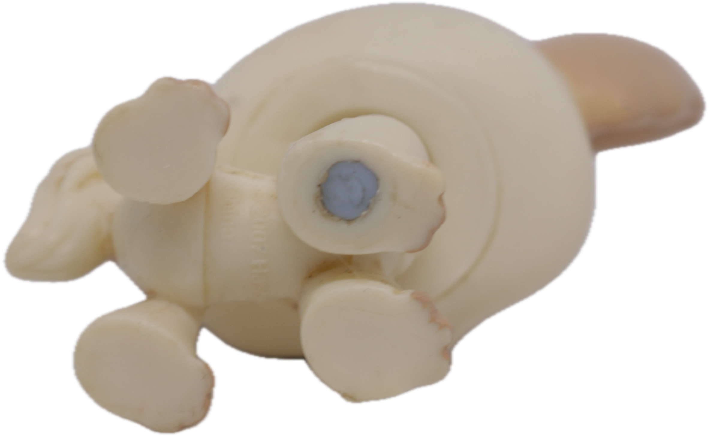 #0438 Chihuahua