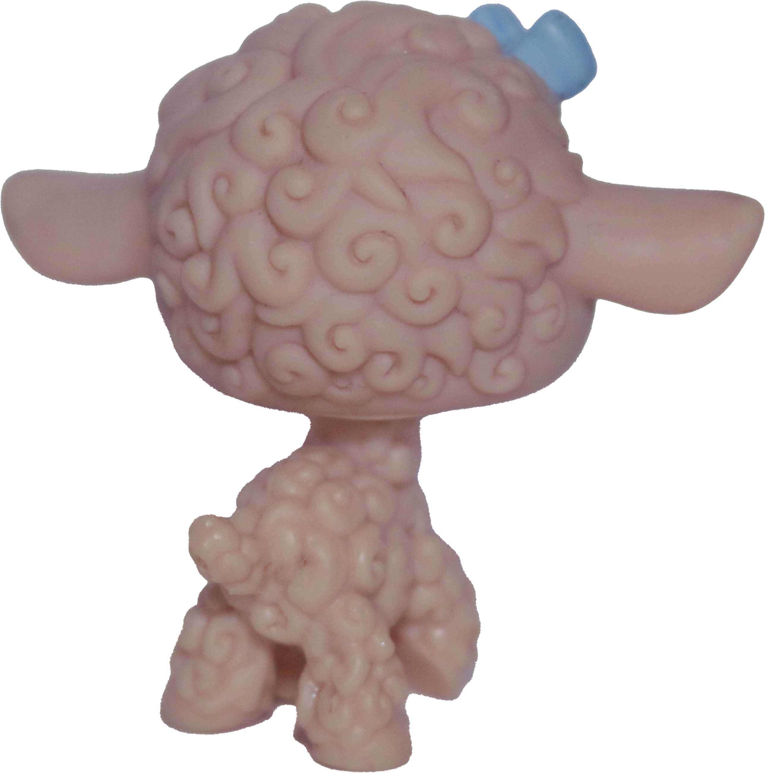 #0447 Sheep