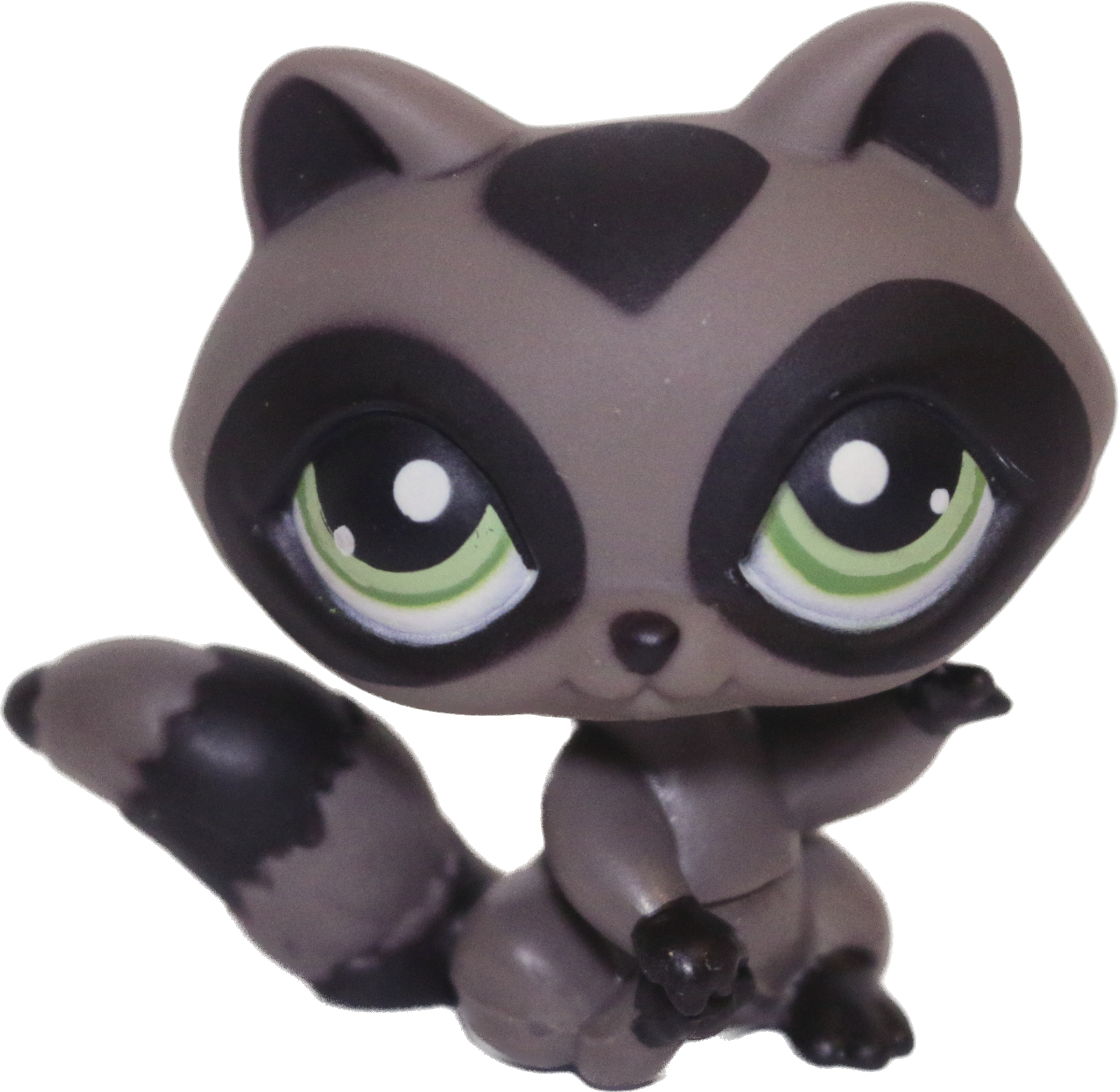 #0450 Raccoon