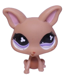 #0461 Chihuahua