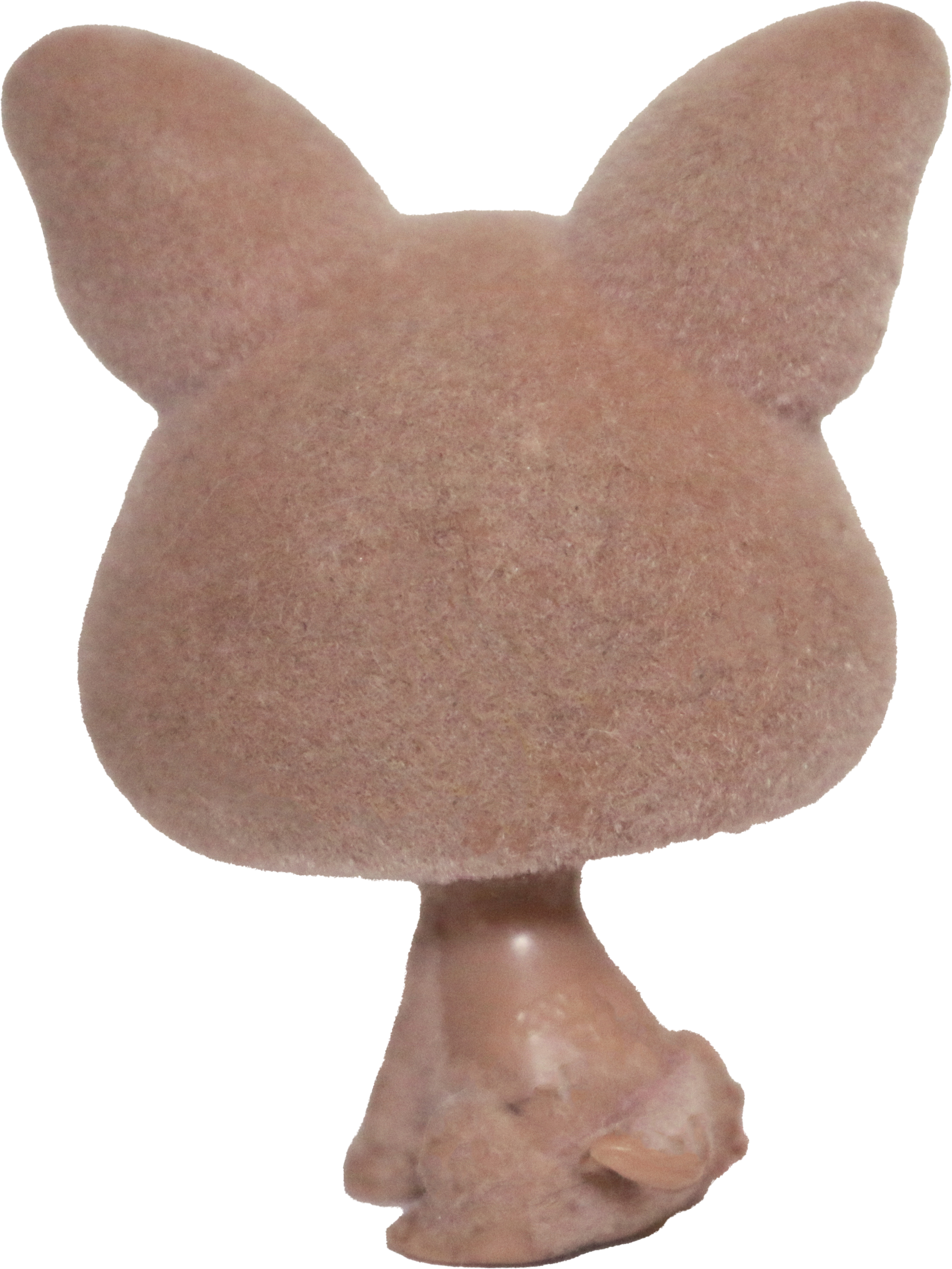 #0461 Chihuahua