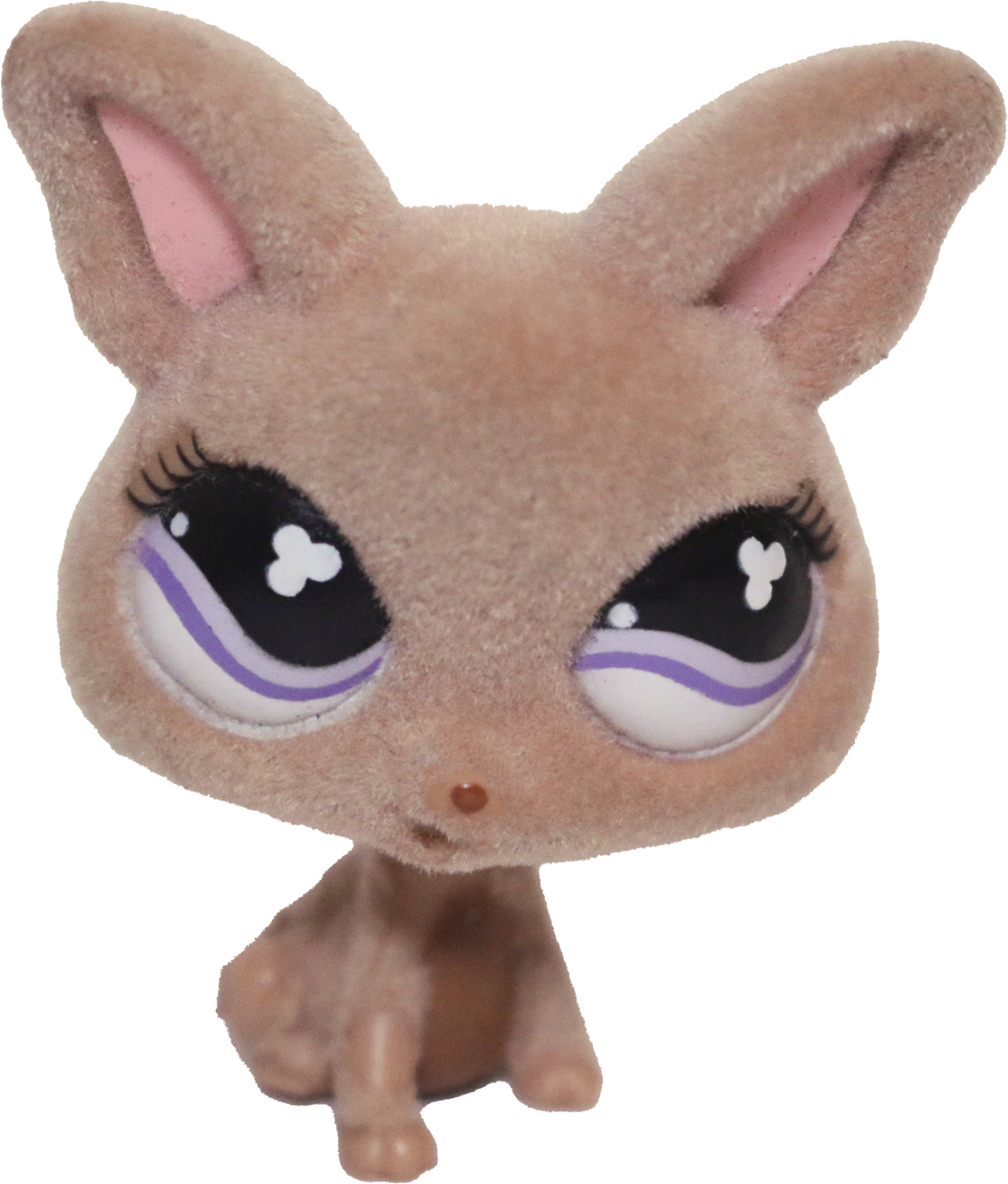 #0461 Chihuahua