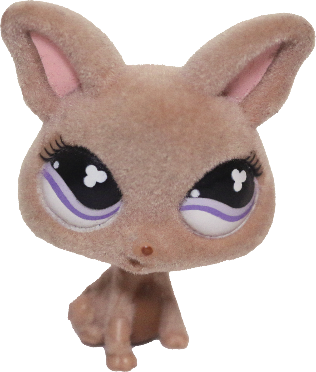 #0461 Chihuahua
