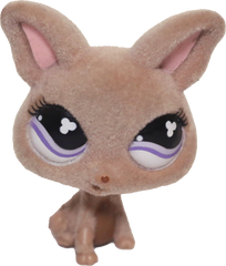#0461 Chihuahua