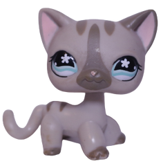 #0468 Shorthair Cat