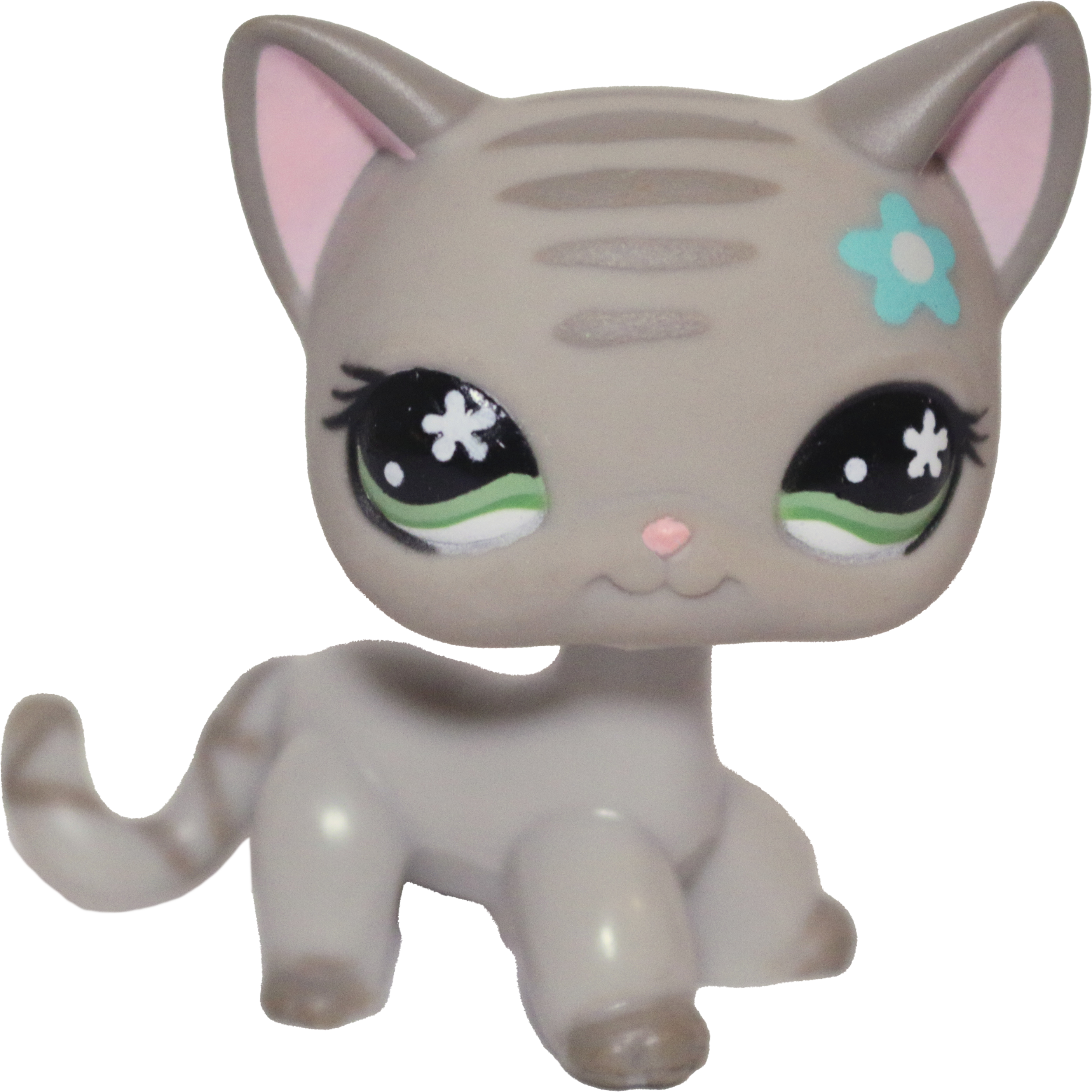 #0483 Shorthair Cat