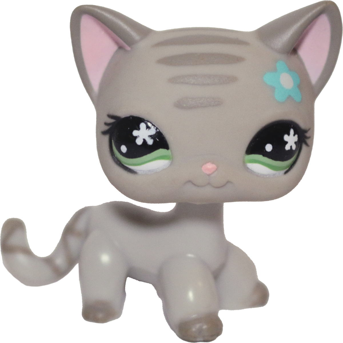#0483 Shorthair Cat