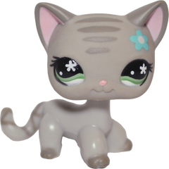 #0483 Shorthair Cat