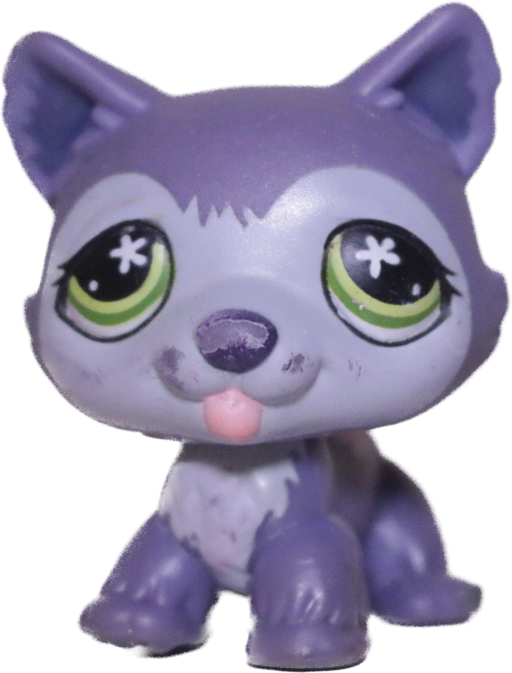 #0487 Husky