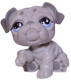#0508 Bulldog