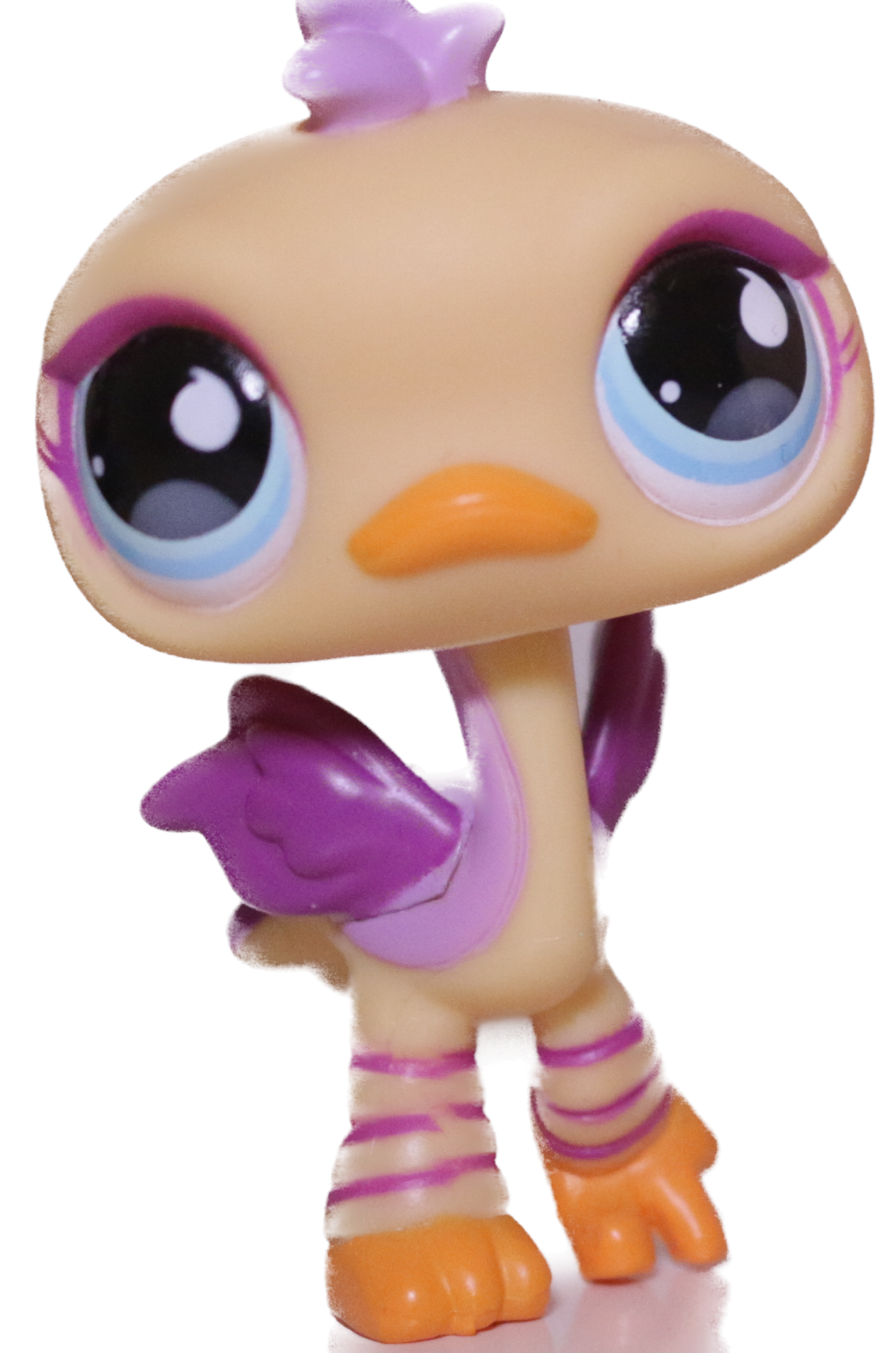 #0516 Ostrich