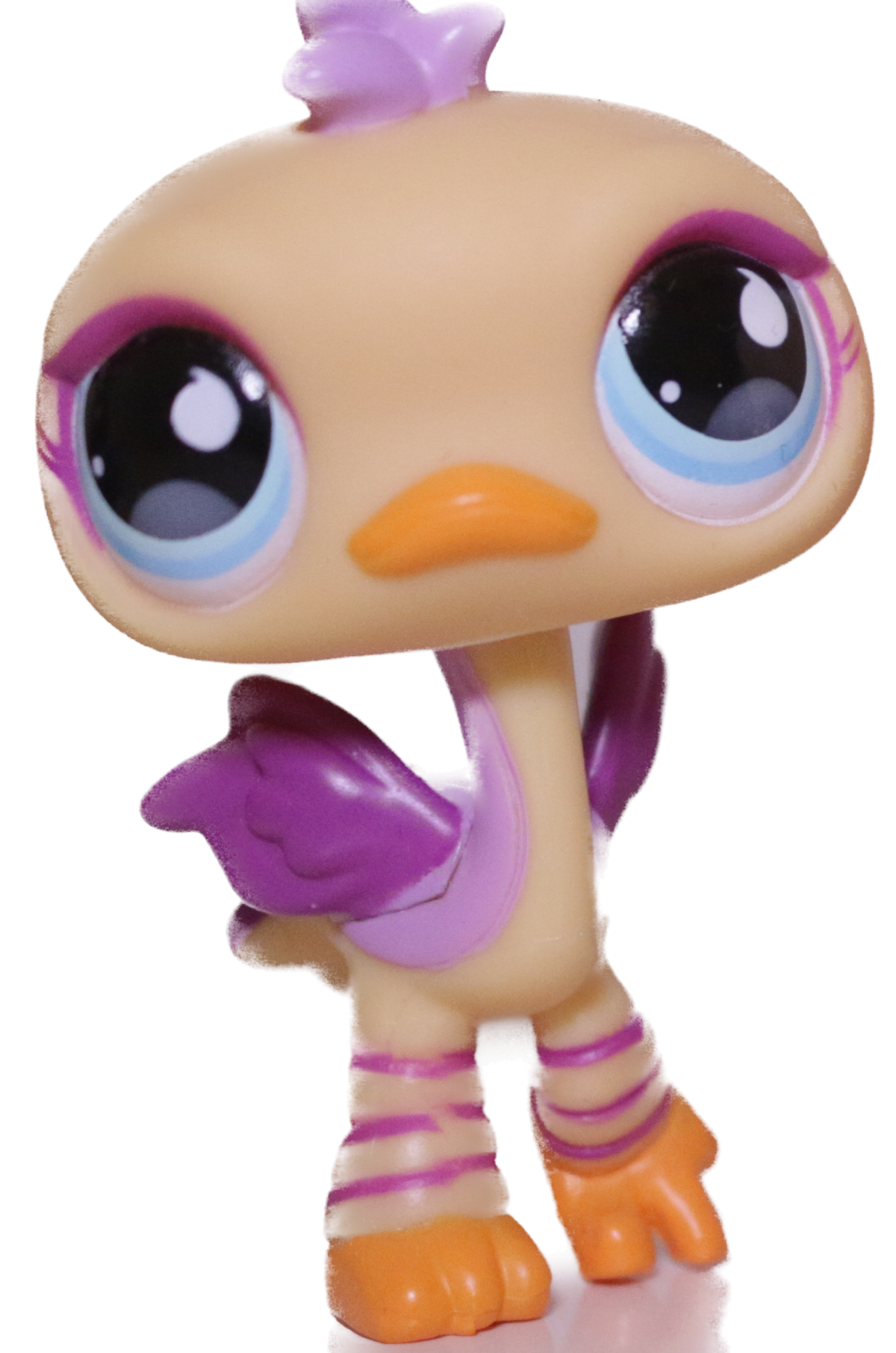 #0516 Ostrich