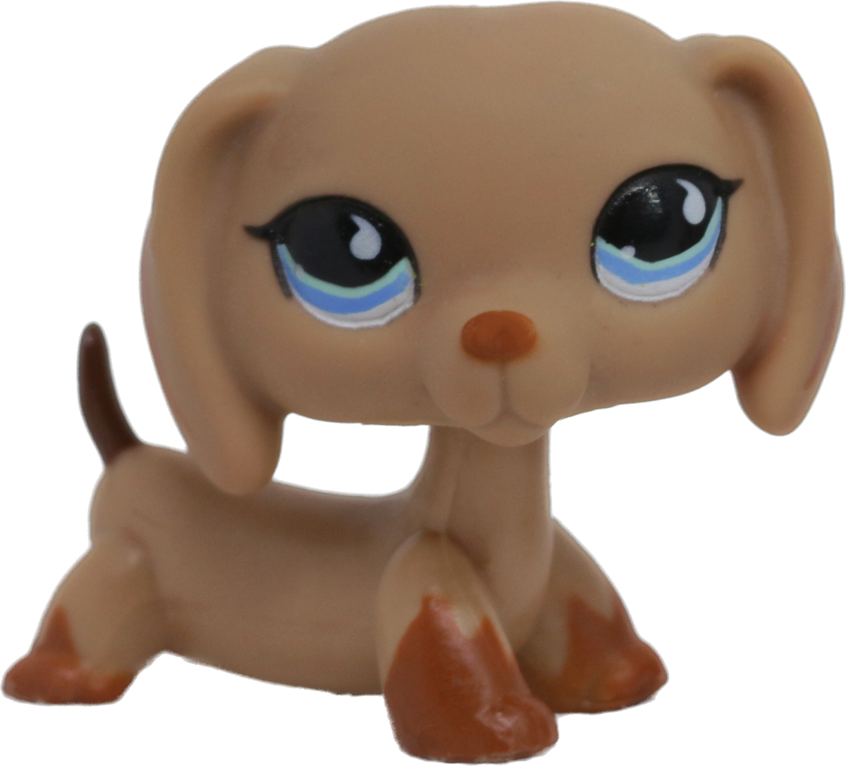 #0518 Dachshund