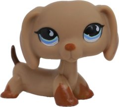 #0518 Dachshund