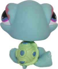 #0522 Turtle
