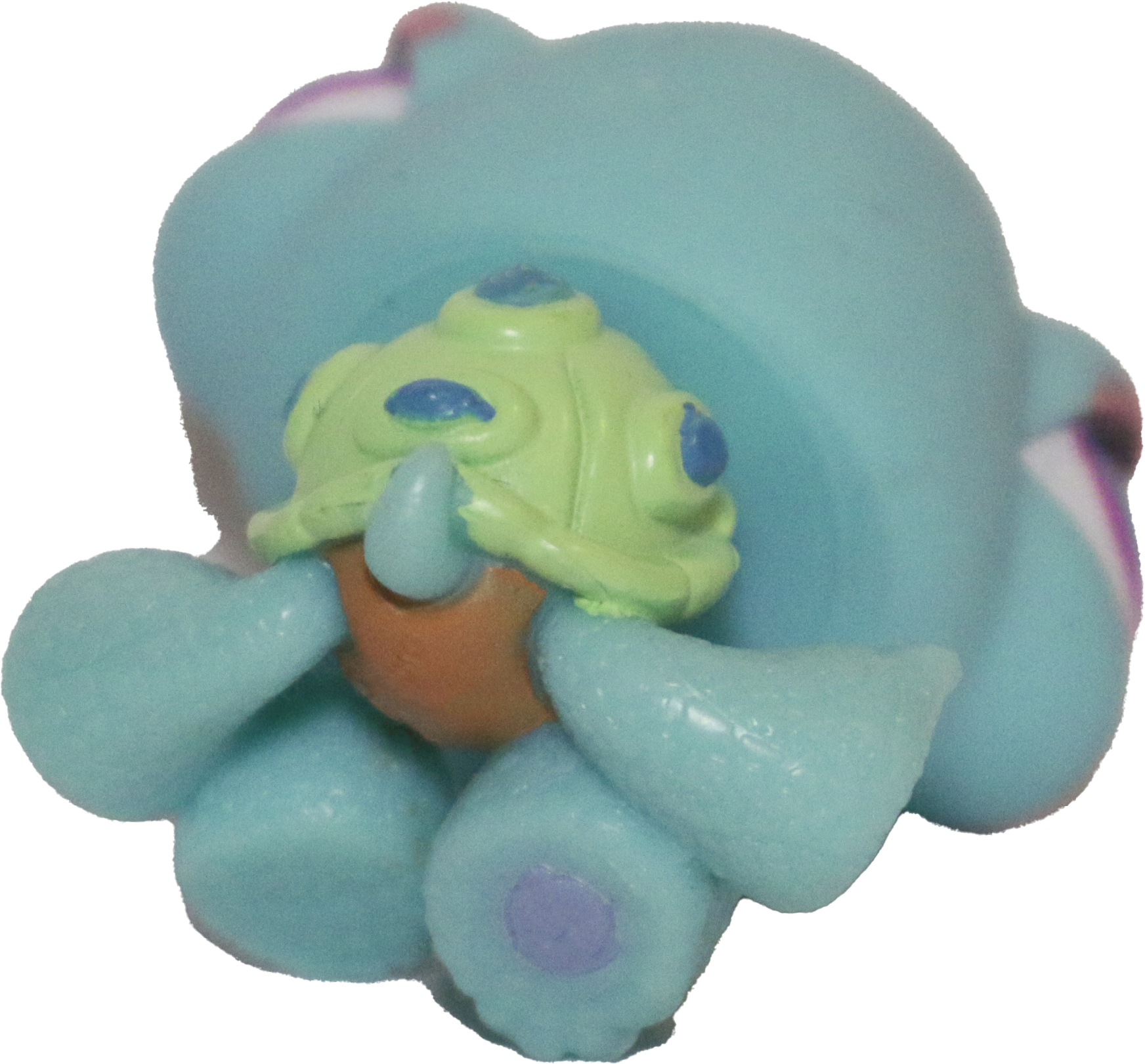 #0522 Turtle