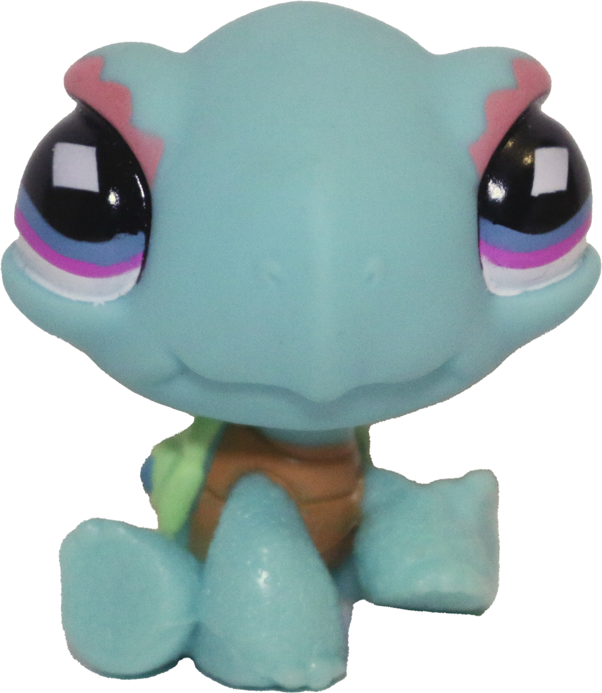 #0522 Turtle