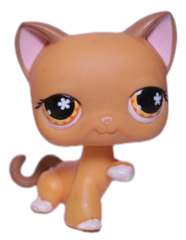 #0539 Paw Up Cat