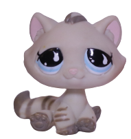 #0563 Sitting Bonbon Cat