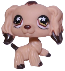 #0575 Cocker Spaniel