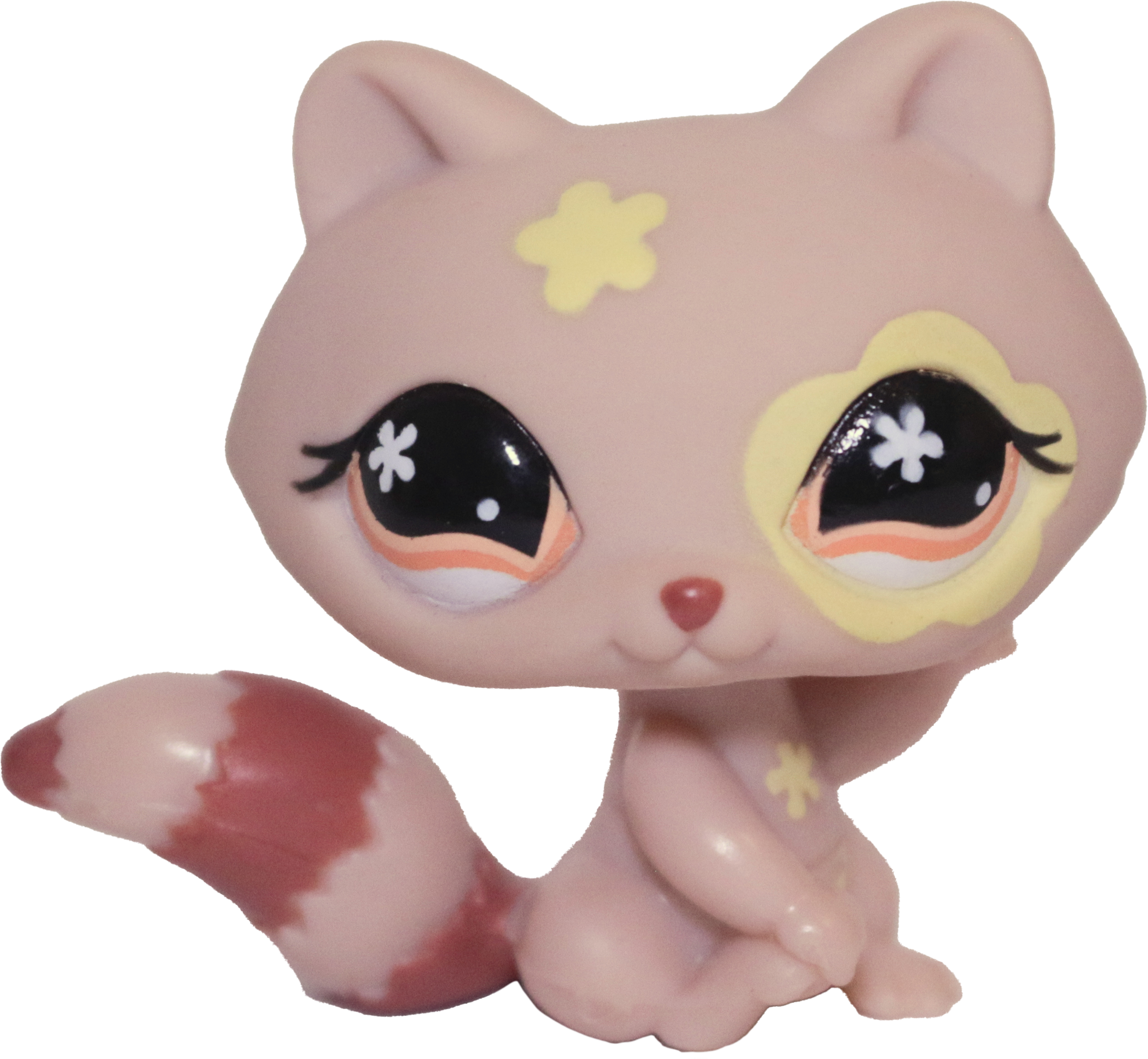 #0583 Raccoon