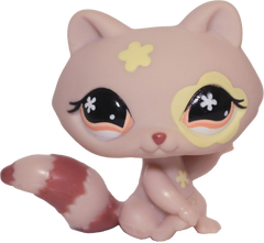 #0583 Raccoon